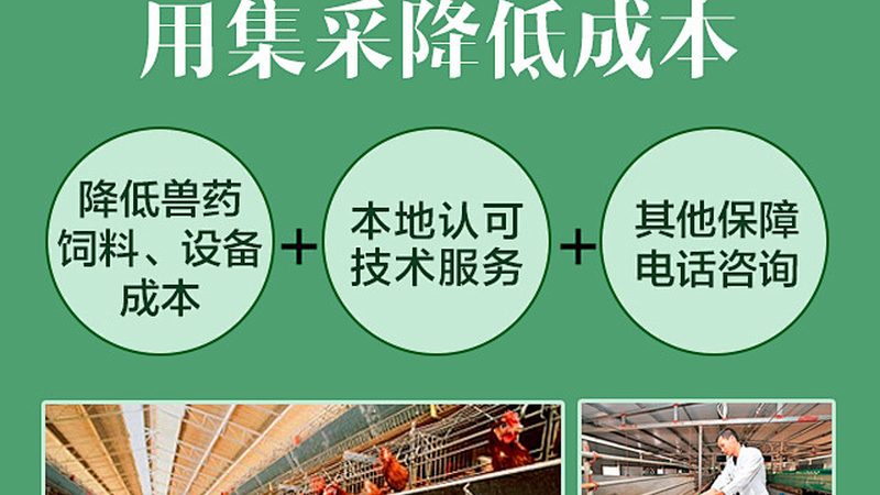 ELISA试剂盒：揭秘性价比背后的秘密