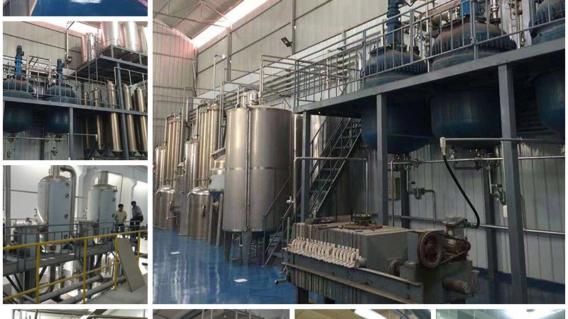 揭秘上海生物科技产品：品牌排名背后的考量因素