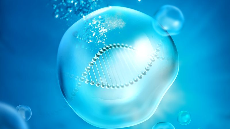 生物科技实验设备：如何选择合适的代理加盟伙伴**