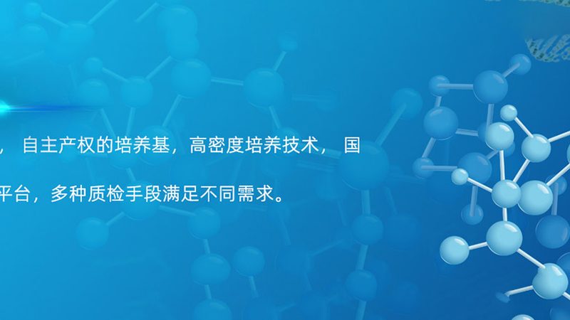 酶分类及用途全解析：探索生物催化奥秘