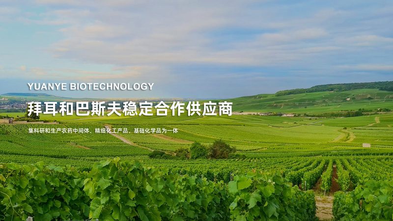 生物医药外包研发行业规范：合规之路，共筑安全防线