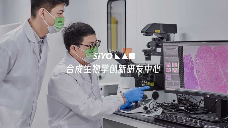 CRo软件：揭秘其优缺点，助您明智选择
