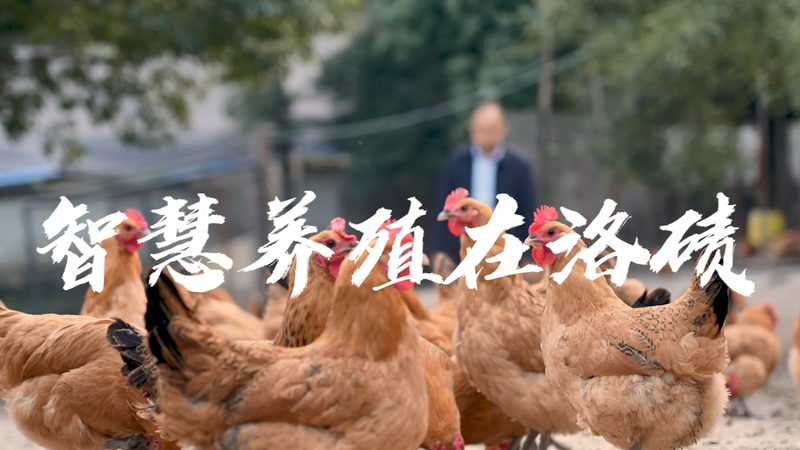 无菌灌装流程中那些看不见的生死线
