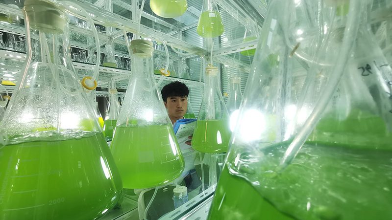 CRo优化工具与AB测试工具：本质区别与适用场景解析